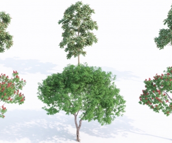 Modern Tree-ID:188961031