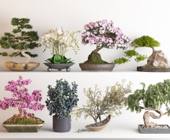 New Chinese Style Bonsai-ID:516719109