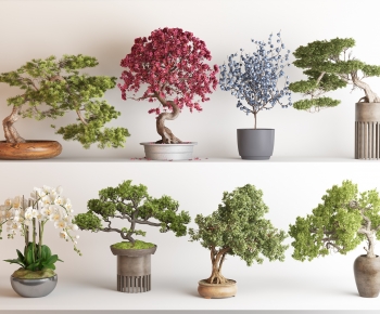 New Chinese Style Bonsai-ID:974833976