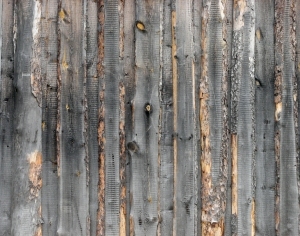 ModernWood Plank