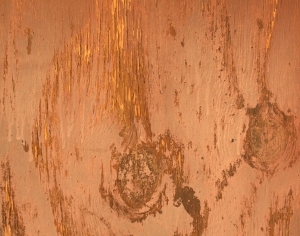 ModernWood Texture