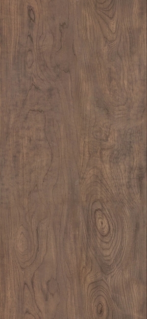 ModernWood Texture