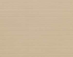 ModernWood Texture