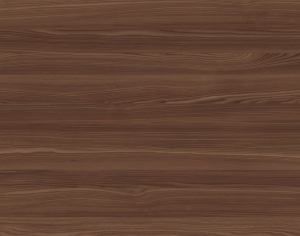 ModernWood Texture