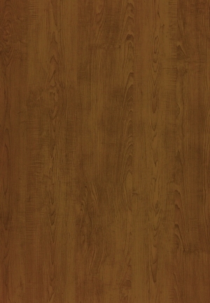 ModernWood Texture
