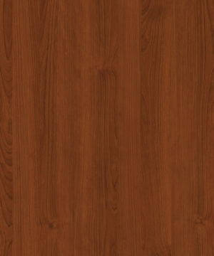ModernWood Texture