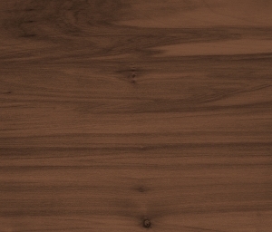 ModernWood Texture