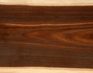 ModernWood Texture