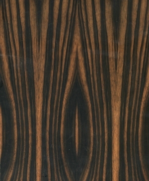 ModernWood Texture