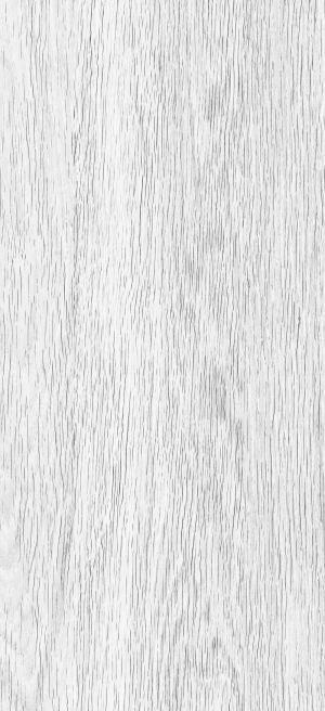 ModernWood Texture
