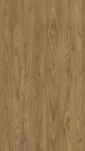 ModernWood Texture