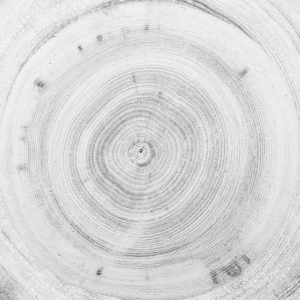 ModernOld Wood Texture