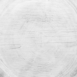 ModernOld Wood Texture