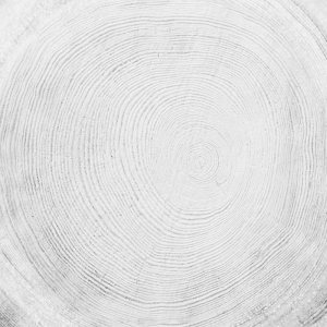 ModernOld Wood Texture