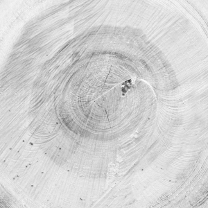 ModernOld Wood Texture