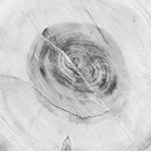 ModernOld Wood Texture