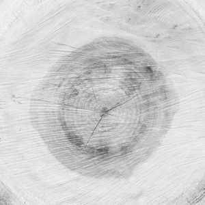 ModernOld Wood Texture