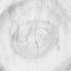 ModernOld Wood Texture