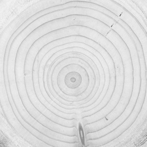 ModernOld Wood Texture