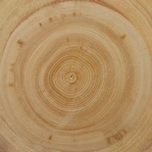 ModernOld Wood Texture