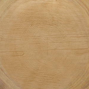 ModernOld Wood Texture