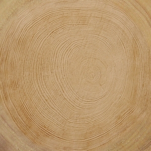 ModernOld Wood Texture