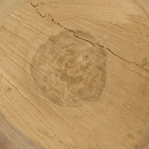 ModernOld Wood Texture