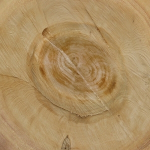 ModernOld Wood Texture