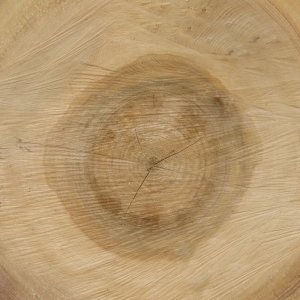 ModernOld Wood Texture