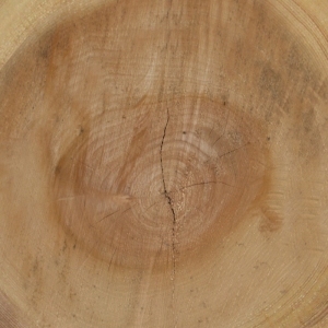 ModernOld Wood Texture