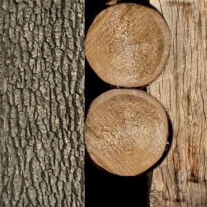 ModernOld Wood Texture