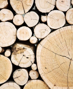 ModernOld Wood Texture