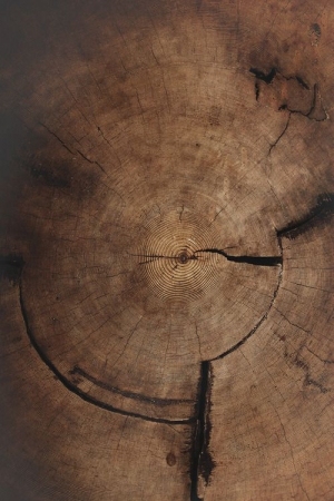 ModernOld Wood Texture