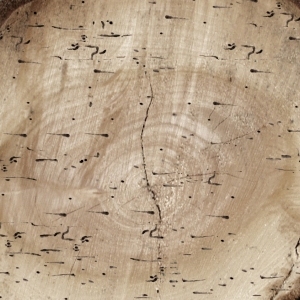 ModernOld Wood Texture