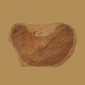 ModernOld Wood Texture