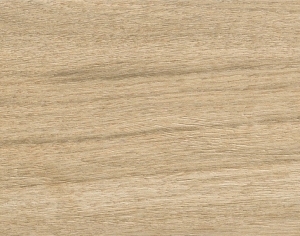 ModernWood Texture