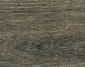 ModernWood Texture
