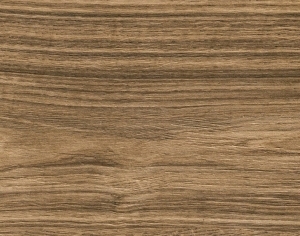ModernWood Texture