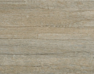 ModernWood Texture