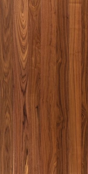 ModernWood Texture