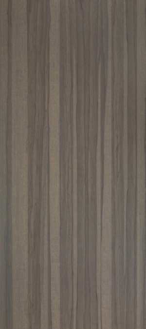 ModernWood Texture