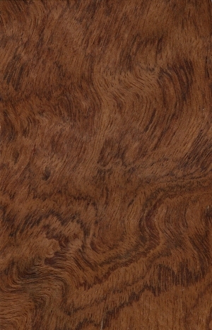 ModernWood Texture