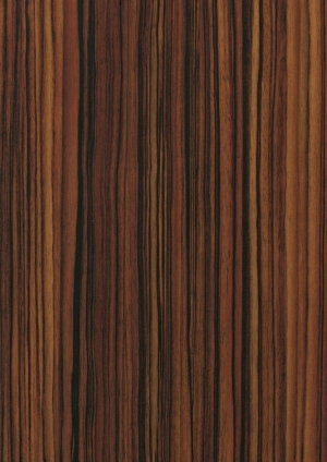 ModernWood Texture