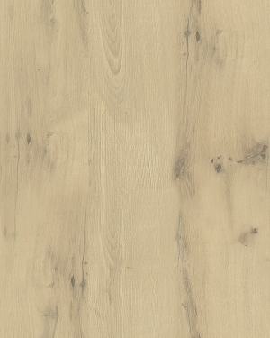 ModernWood Texture