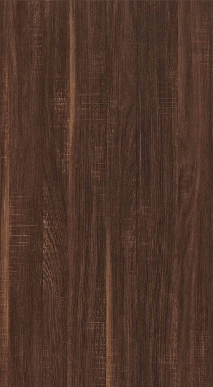 ModernWood Texture