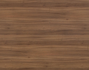 ModernWood Texture