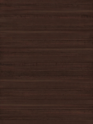 ModernWood Texture