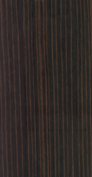 ModernWood Texture