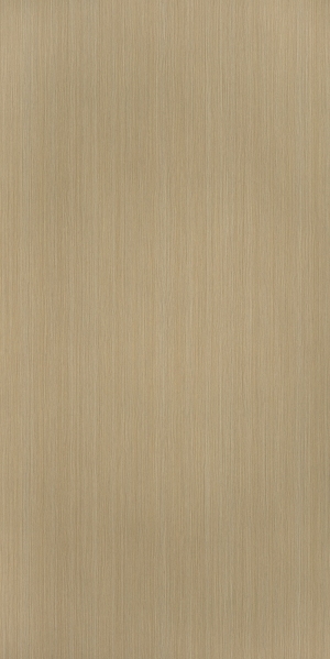 ModernWood Texture