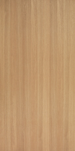 ModernWood Texture